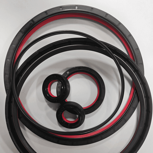 BEGAPUNK-rotary-joint-seals